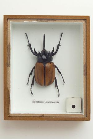 オリジナルバッチをこちらで作成できる